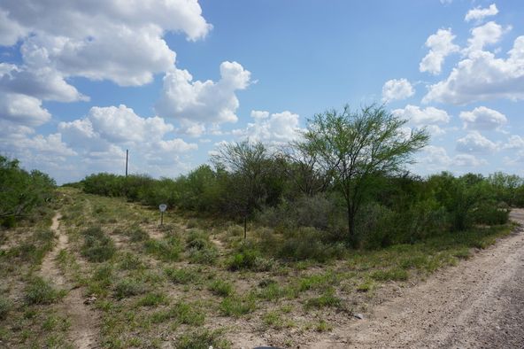 Ranch Land with Minerals: Ranch Rd 7918B, Laredo, TX 78046